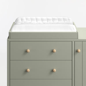 Finn Sage Changer Top.