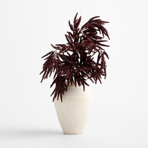 "Chocolate Amaranthus Stem 50""".