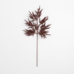 "Chocolate Amaranthus Stem 50""".
