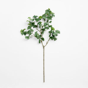 Faux Green Ginkgo Branch 51"