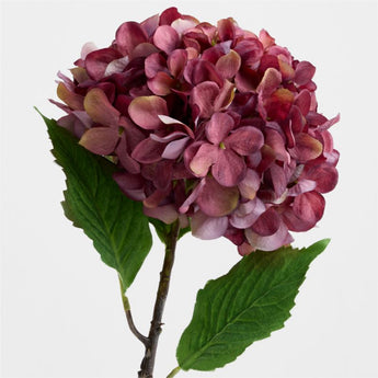 Xiamen Gold Eagle Artfcl.