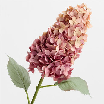 "Mauve Oakleaf Hydrangea 30""".