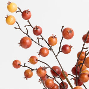 Orange Crabapple Stem.