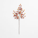 Orange Crabapple Stem.