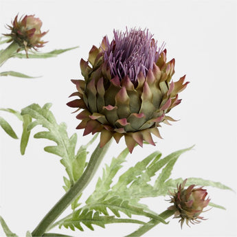 "Thistle Stem with Buds 37""".