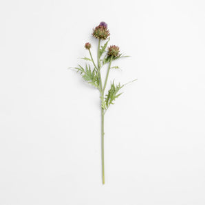 "Thistle Stem with Buds 37""".