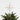 Glitter Radiant Christmas Tree Topper