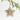 Starburst Christmas Tree Ornament