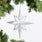 Glitter Radient Star Silver.