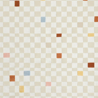 Imperfect Chkrbrd Multi Rug 6X9.