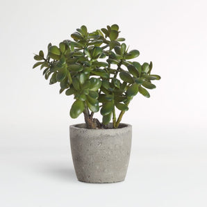 Potted Faux Jade Plant