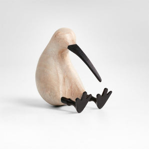 Wood Kiwi Bird
