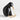 Wood Kiwi Bird