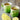 Le Creuset Mug Palm Green 350 ML.