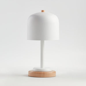 Kids Modern Dome Touch Table Lamp
