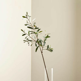 Faux Olive Stem.