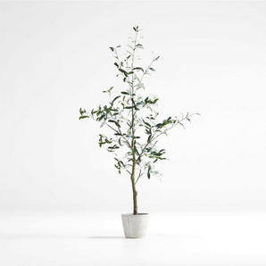 Faux Olive Tree in Pot 5'.