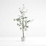 Faux Olive Tree in Pot 5'.