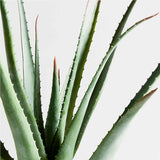 Potted Faux Agave Sisal Plant.