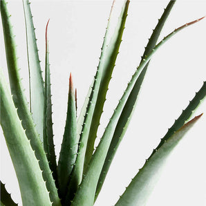 Potted Faux Agave Sisal Plant.