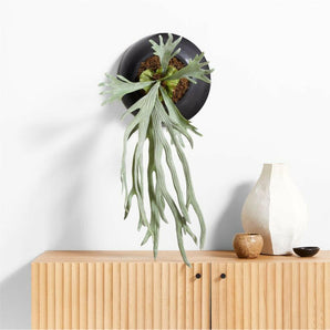 Potted Faux Green Staghorn Fern.