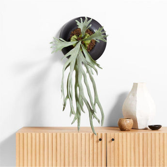 Potted Faux Green Staghorn Fern.