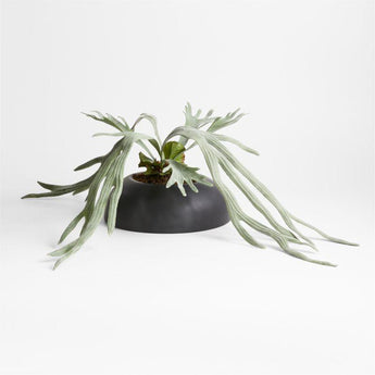 Potted Faux Green Staghorn Fern.