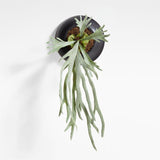Potted Faux Green Staghorn Fern.