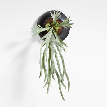 Potted Faux Green Staghorn Fern.