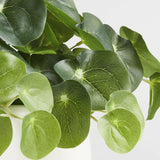 Potted Faux Pilea Plant in White Pot.