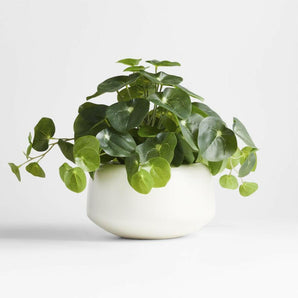 Potted Faux Pilea Plant in White Pot.