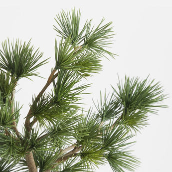 Potted Faux Pine Bonsai in Black Pot.