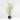 Potted Faux Pencil Cactus<
