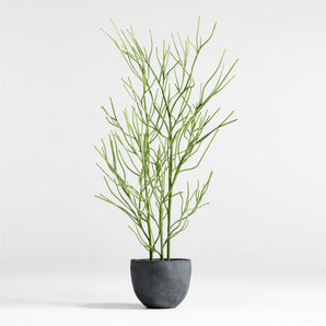 Potted Faux Pencil Cactus