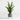 Planta ZZ artificial en maceta
