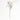 Faux Queen Anne's Lace Stem by Abigail Ahern