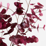 Faux Large Dark Red Eucalyptus Branch 72".
