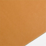Rizzo Easy Care Recycled Leather Reversible Brown Rectangular Placemat.