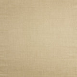 Sisal Almond Rug 10x14.