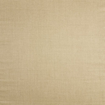 Sisal Almond Rug 10x14.