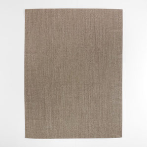 Sisal Grey Rug 6x9.