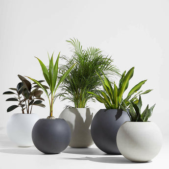 Sphere Planter Small Light Grey.