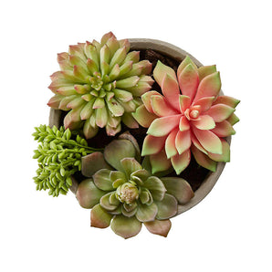 Faux Succulents in Low Round Pot.