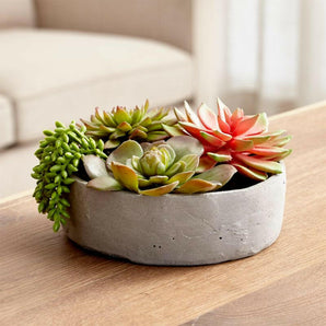 Faux Succulents in Low Round Pot.