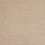 NS Taos Camel 8x10 Rug.