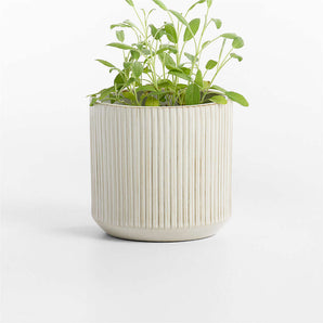 Tulu Indoor/Outdoor Ceramic Planter