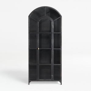 Ventana Metal and Glass Storage Display Cabinet