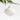 Wood Onion Christmas Tree Ornament