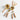 Acacia Wood and Gold Measuring Spoons, Set of 4.