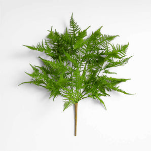 Faux Plumosa Fern Leaf Stem.